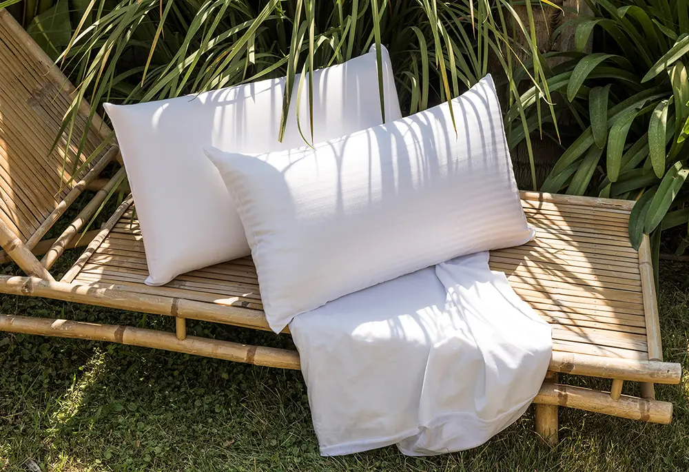 Bambu ceylan info