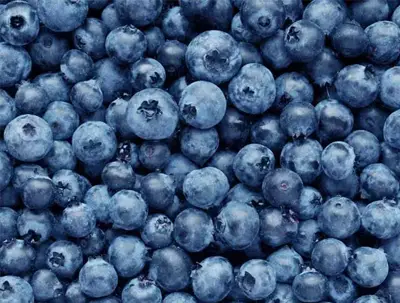 Kolor blueberry
