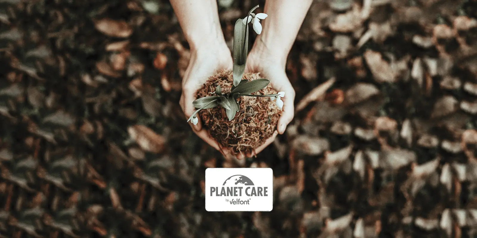 Planet care